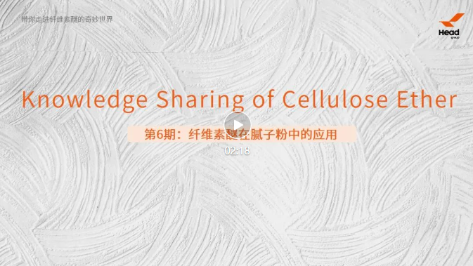 带你走进纤维素醚的奇妙世界 | 第6期:纤维素醚在腻子粉中的应用